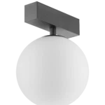 Globe Attachment